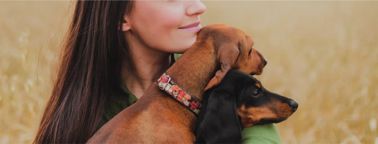 polizza-rimborso-spese-veterinarie